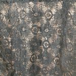 3/$30 Francesca's | Black Lace Mini Dress Tan Lining S Photo 6