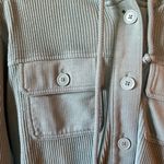 American Eagle shaket Photo 2