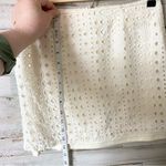 Alya  Ivory Eyelet Mini Skirt Small Photo 4