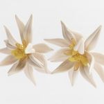 ZARA NEW❗️ Beaded Floral Earrings White Yellow Flower Photo 7