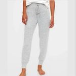 American Eagle Ahh-Mazingly Soft Fitted Joggers Photo 4