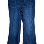 Altar'd State Blue Front Seam Detail Denim Flared Jeans Size 28 Photo 0