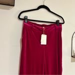 Skies Are Blue NWT Fuchsia Bold Pink Velvet All the Drama Pants Size Medium Photo 2