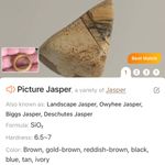 Handcrafted genuine picture jasper stone band ring 8.5 Tan Photo 8