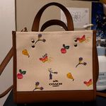 Coach Small Tote Photo 1