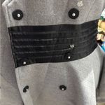 Venus  gray coat Photo 6