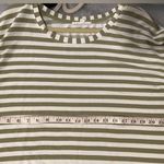 Jane and Delancey  Size XL Banded Sleeve Crew Neck Green White Stripe Terry Top Photo 6