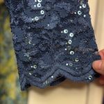 Alex Evenings Womens Sz 16 Wedgewood Blue 3/4 Sleeve Plus Size Lace Chiffon Gown Photo 11