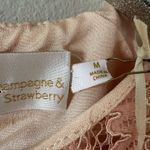 Champagne & Strawberry Pink Lace Short Sleeve Midi Dress NEW Size M Photo 2