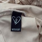 Windsor Beige Lace Bodycon Trumpet Hem Maxi Gown Dress Photo 4