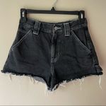 PacSun  denim shorts Photo 0