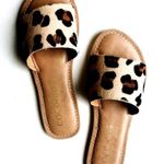 Coconuts By Matisse Leopard Slides Photo 0