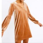 Madewell  Velvet Gold/Tan Balloon Sleeve Sheath Dress size medium Photo 0