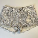 POL Leopard Print Distressed Jean Shorts Photo 0