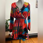 EXPRESS Multicolor Long Sleeve Dress Photo 5