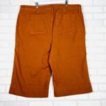 Madewell Emmett Wide-Leg Crop Pants Burnt Sienna, Size 37 Style J8985 Photo 15