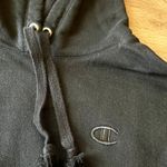 Champion Fleece-Lined Hoodie Sweatshirt Black, Small Photo 1