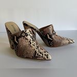 JustFab NEW JUST FAB Blush Snake Mule. Photo 4