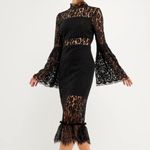 Endless Rose  Long-Sleeved Lace Midi Dress Photo 1