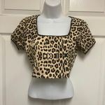Daisy Street Leopard Lace Trim Crop Top Photo 3