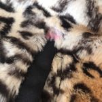 Faux Fur Leopard Reservable Vest Tan Size 6 Photo 12
