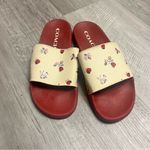 Coach  Uli Ladybug Slides size 10 Photo 1