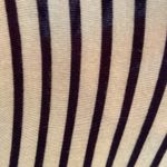 Brandy Melville  blue & white striped lightweight long sleeve V neck top Photo 2