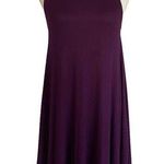 Alya FRANCESCA'S  Plum Purple Ribbed Sleeveless Swing Dress Size XS High Neck Photo 0