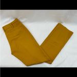 Tall Straight Photo 1