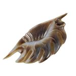 None Mother of Pearl Hand Carved Shell Brooch, Vintage Mother Pearl Brown Shell Pin Photo 1