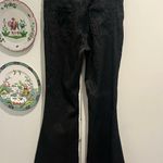 Alice + Olivia Leopard Print Black Boot Cut Jeans Pants Photo 1