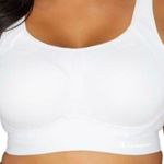 Champion Plus Size Motion Control Underwire Sports Bra Size 44DDD New With Tags Photo 0