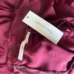 Francesca's NWT Francesca’s maroon pompom midi dress Photo 2