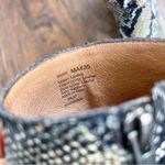 Madewell • The Rosie Ankle Boot in Snake Embossed Leather Moonstone Multi heeled Photo 7