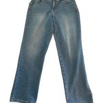 Style & Co  Denim Blue Boyfriend Jeans Size 12 EUC #3267 Photo 0