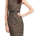 Trina Turk   Tweed Sleeveless Sheath Dress Black Brown Cream Leather Trim Size 0 Photo 0