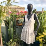 BCBGMAXAZRIA  lace skater dress Photo 7