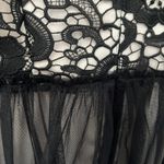 Miami Y2K Coquette Dress Sz M Whimsigoth Dark Fairy Lace Sheer Mesh Witchy Vampy Photo 12