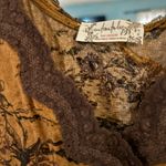 Free People Slip My Mind Trapeze Photo 1