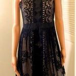 Francesca's Miami Size Medium Black Lace Fit and Flare Dress Sleeveless NWT Photo 0