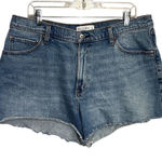 Abercrombie & Fitch  Women's Curve Love 90s Denim Shorts Blue Size 33 US 16 Photo 0