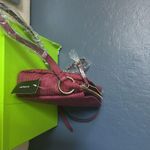 Alfani Crocodile Photo 1