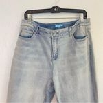 J. McLaughlin  Light Blue Denim high waisted straight leg Pants size 14 Photo 1
