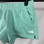 The North Face Half Dome Fleece Shorts Size Large Photo 1
