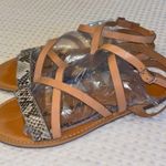 Gap Size 8 Strappy Leather Flat Ankle Wrap Sandals Neutral Tan Nude Snake Photo 2