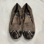 AGL Shimmer Taupe Leather Ballet Flats with Snake Print Cap 39 Brown Size 9 Photo 10