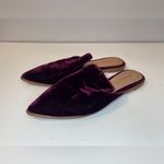 Madewell Women’s Gemma Mule Velvet Purple with Pointed Toe Shoes Size 6 Photo 1