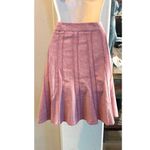 Club Monaco Like new  pale pink wool blend skirt. Sz 2 Photo 1