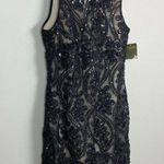 Taylor Dress 4 Black Floral Lace Mesh Illusion Sequin Texture Cocktail Party New Photo 11