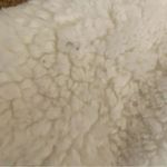 Urban Outfitters Outfitter Sherpa Fuzzy Zip Up Cropped Ivory Womens Jacket SZ M Photo 6